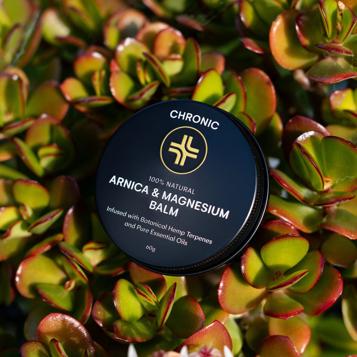 
                  
                    Arnica & Magnesium Balm
                  
                